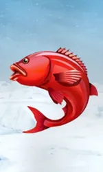 Ice Fishing
